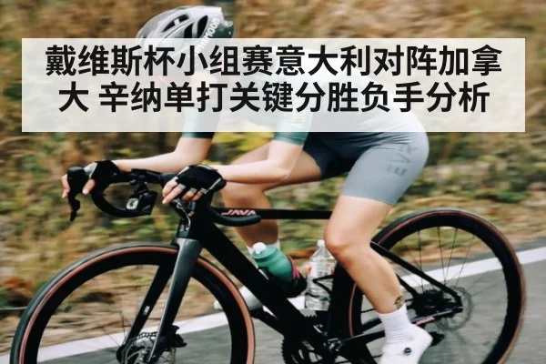戴维斯杯小组赛意大利对阵加拿大 辛纳单打关键分胜负手分析 - kaiyun