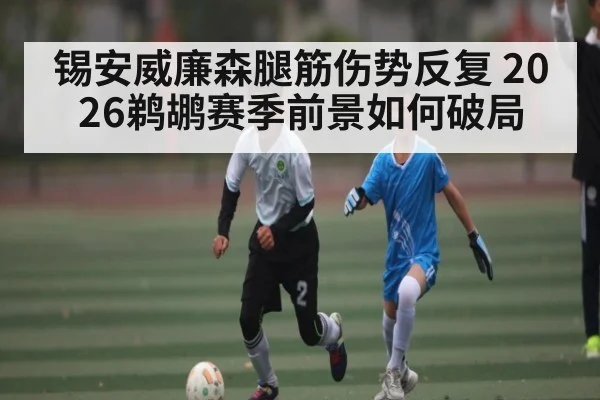 锡安威廉森腿筋伤势反复 2026鹈鹕赛季前景如何破局 - kaiyun